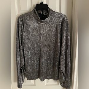 Shimmery silver long sleeve top, Zara, Size M